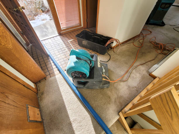 Best Sewage cleanup and water damage restoration  in Dickson, TN