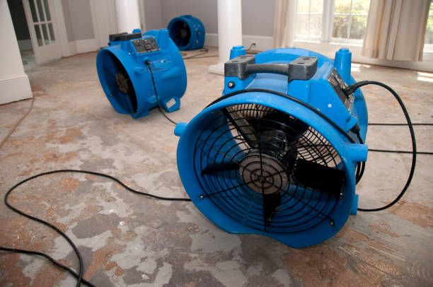 Best Water damage restoration near me  in Dickson, TN