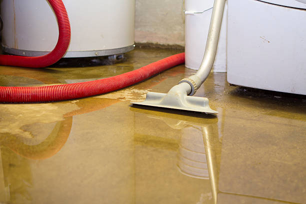 Best Sewage cleanup and water damage restoration  in Dickson, TN