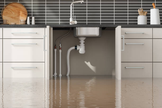 Reliable TN Water damage restoration Solutions