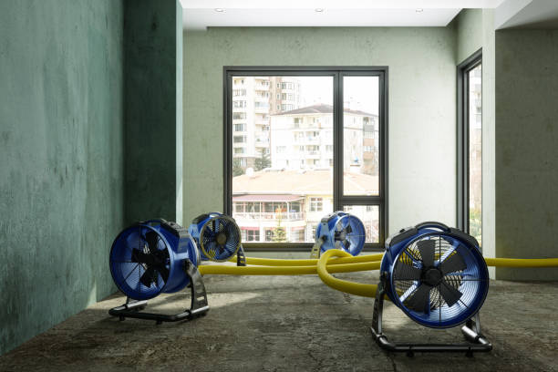 Best Ceiling water damage repair  in Dickson, TN